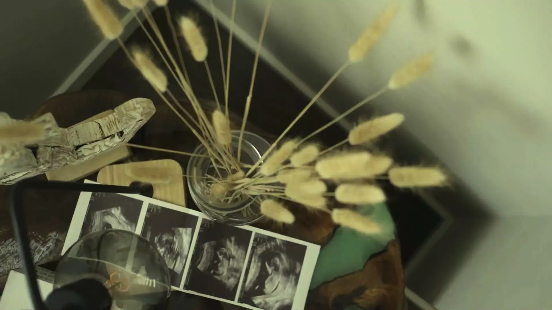 Sarah's Gender Reveal